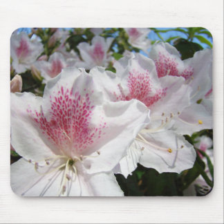 Beautiful White Pink Azaleas Flowers mousepad gift