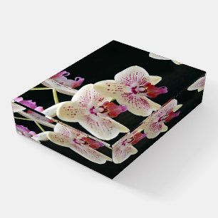 Beautiful White & Pink Orchid w/Black Background Paperweight