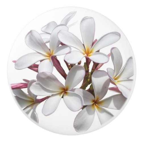 Beautiful white Plumeria or Frangipani flower Ceramic Knob