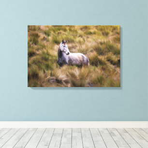 Beautiful White Praire Horse Poster Canvas Print