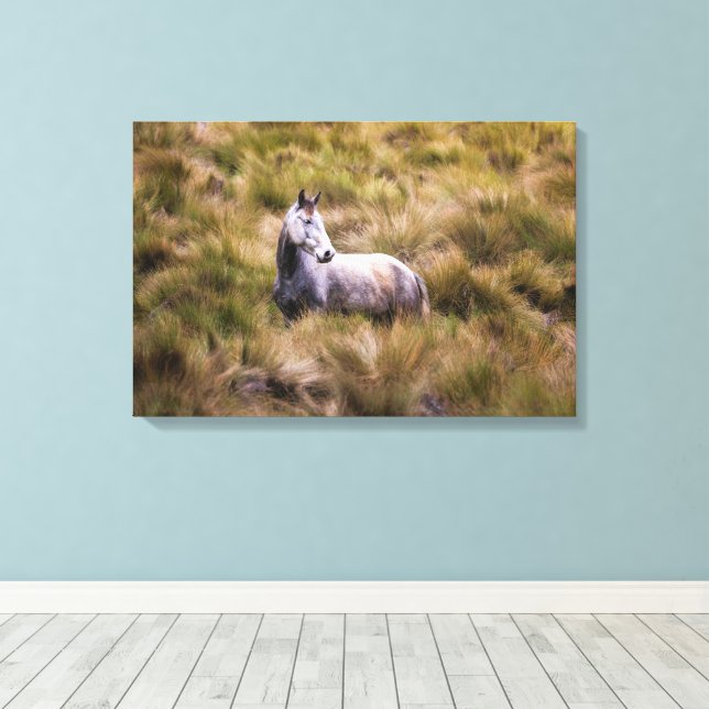 Beautiful White Praire Horse Poster Canvas Print (Insitu(Wood Floor))