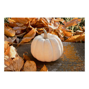 Beautiful White Pumpkin Autumn Leaves Poster