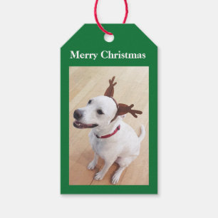 Beautiful White Reindeer Puppy Dog Green Christmas Gift Tags