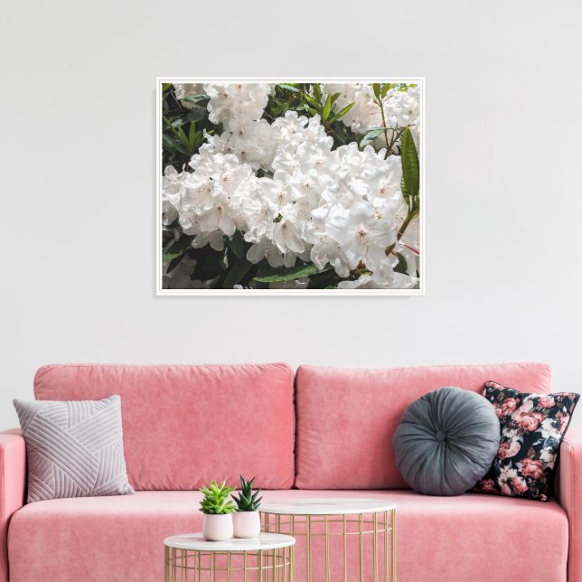 Beautiful White Rhododendron Floral Canvas Print (Insitu(LivingRoom))