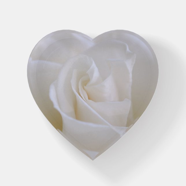 Beautiful White Rose Flower Heart  Paperweight (Front)