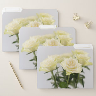 Beautiful White Rose Flowers Pretty Floral Photo File Folder