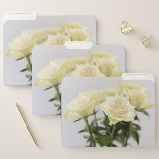 Beautiful White Rose Flowers Pretty Floral Photo File Folder