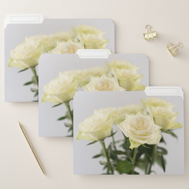Beautiful White Rose Flowers Pretty Floral Photo File Folder (Set)