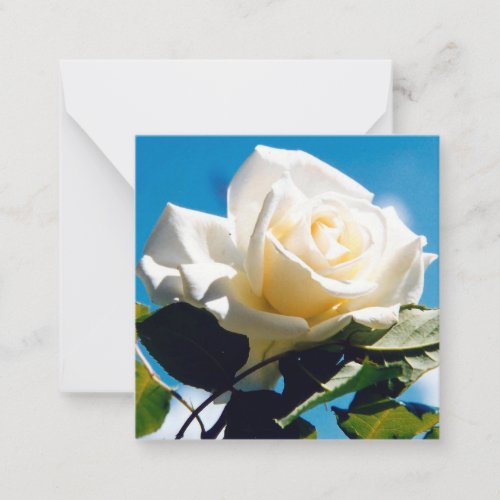 Beautiful White Rose   Note Card
