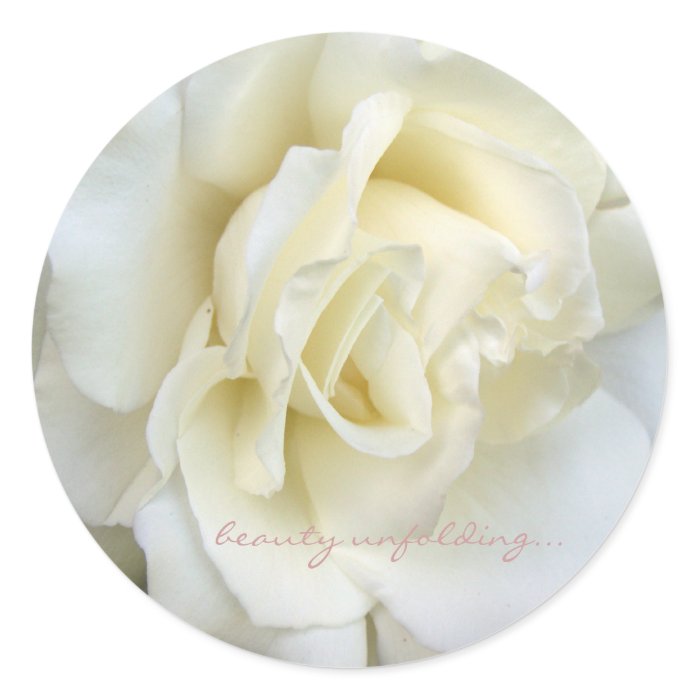 Beautiful white rose small sticker