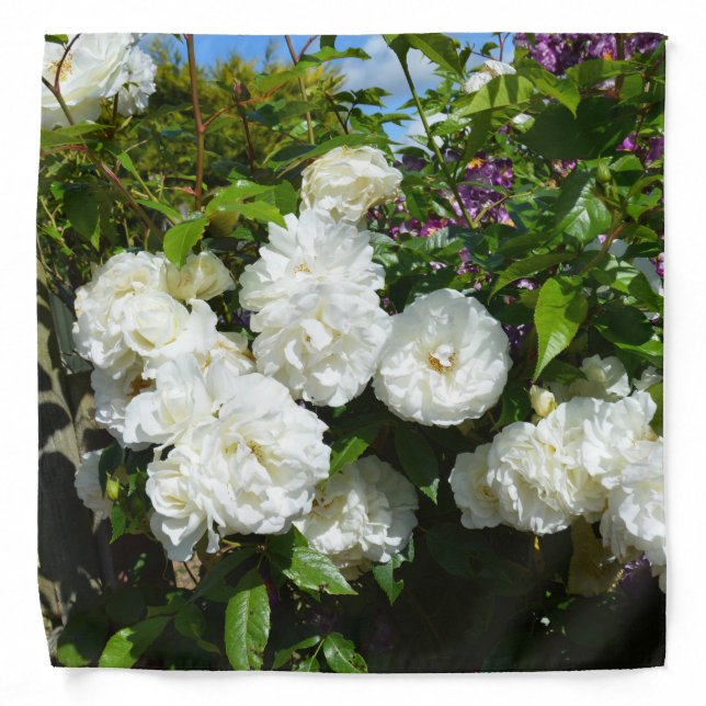 Beautiful white roses bandana (Front)