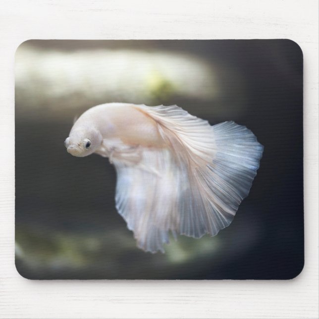 Beautiful White Siamese Betta Fighting Fish Mouse Pad (Front)