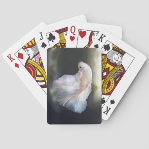 Beautiful White Siamese Betta Fighting Fish Poker Cards
