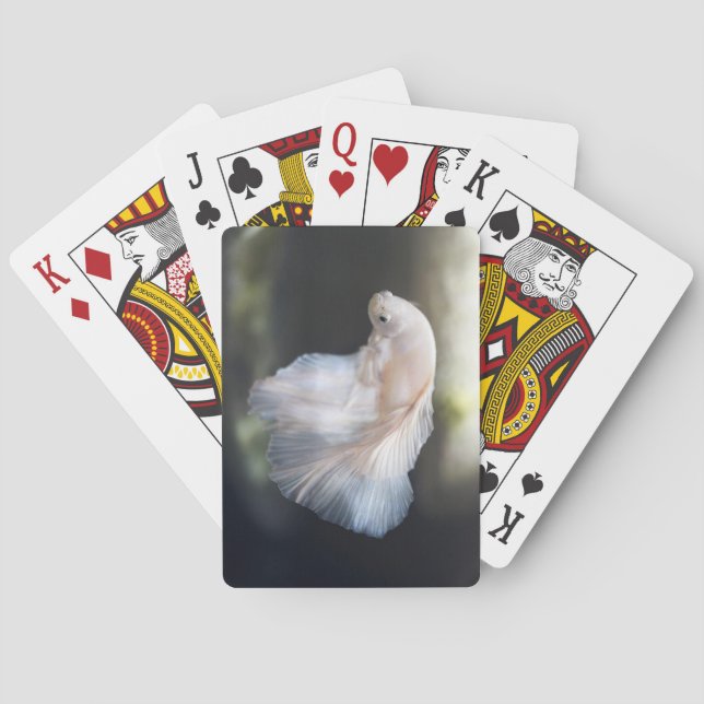 Beautiful White Siamese Betta Fighting Fish Poker Cards (Back)