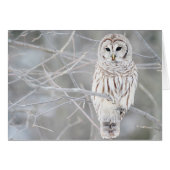 Beautiful White Snow Owl Design (Front Horizontal)