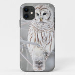 Beautiful White Snow Owl Design Iphone 11 Case at Zazzle