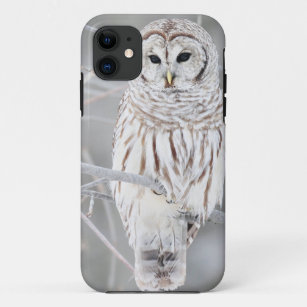 Beautiful White Snow Owl Design iPhone 11 Case
