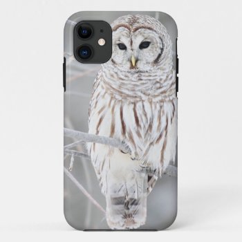Beautiful White Snow Owl Design Iphone 11 Case by freya18801 at Zazzle