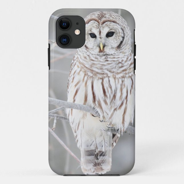 Beautiful White Snow Owl Design Case-Mate iPhone Case (Back)