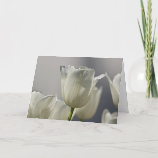 Beautiful White Spring Tulips Card (Front)