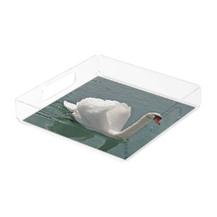 Beautiful white swan acrylic tray