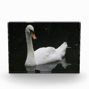 Beautiful White Swan Decorative Award