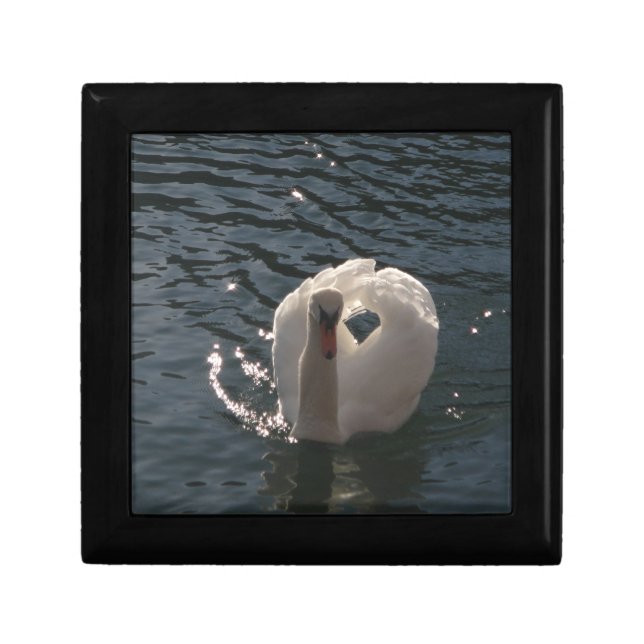 Beautiful white swan gift box (Front)