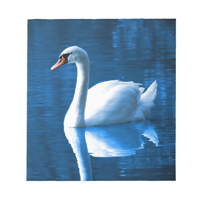 Beautiful White Swan In Water Notepad Zazzle Com