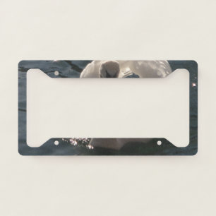 Beautiful white swan license plate frame