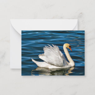 Beautiful White Swan Note Card