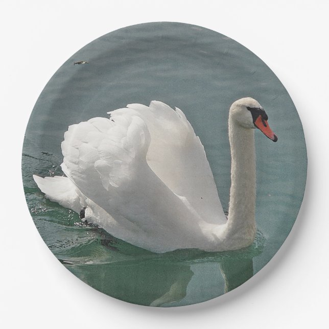 Beautiful white swan paper plates (Front)
