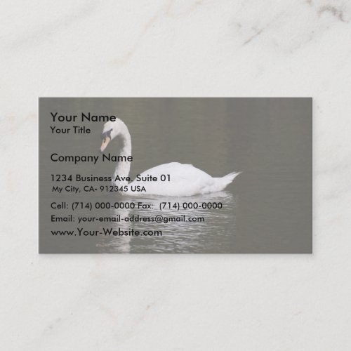 Beautiful White Swan Swimming In Lake Water Business Card