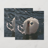 Beautiful white swan throw pillow (Front/Back)