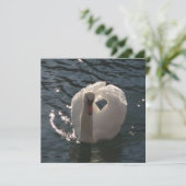 Beautiful white swan throw pillow (Standing Front)