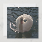 Beautiful white swan throw pillow (Back)