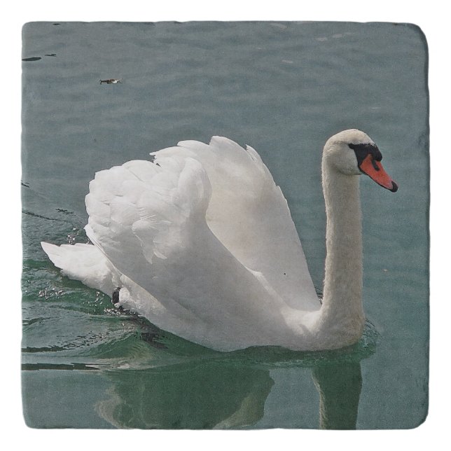 Beautiful white swan trivet (Front)