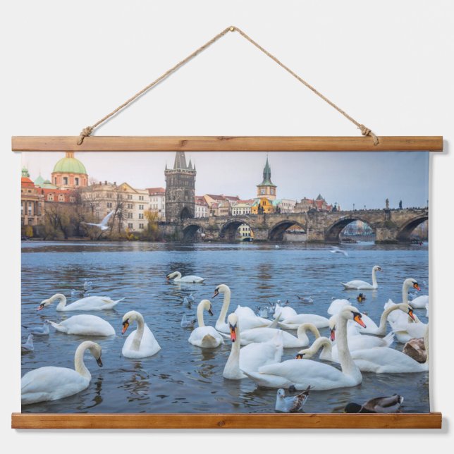 Beautiful White Swans on Vitava River in Prague Hanging Tapestry (Front)
