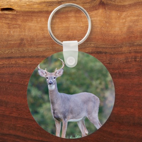 Beautiful White-tailed Buck Deer in Field   Keychain