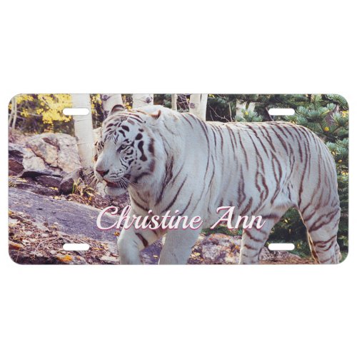 Beautiful White Tiger _ DIY Name License Plate