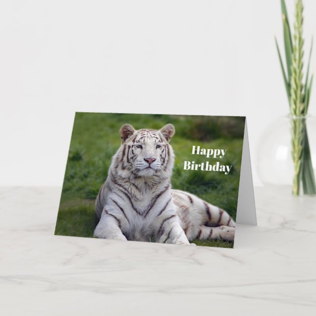Beautiful White Tiger Photo Birthday Card (Front)