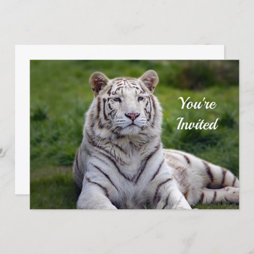 Beautiful White Tiger Photo Birthday Invitation