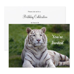 Beautiful White Tiger Photo Birthday Invitation