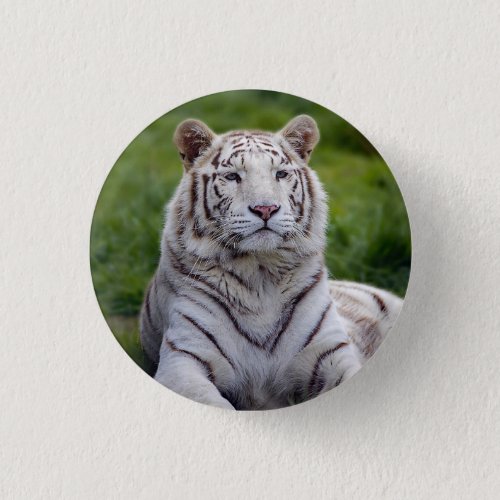 Beautiful White Tiger Photo Button