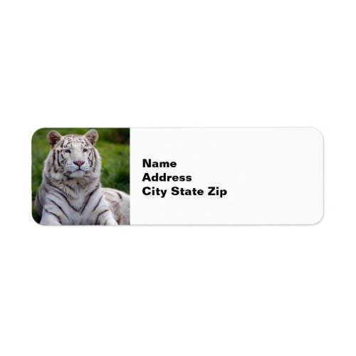 Beautiful White Tiger Photo Label