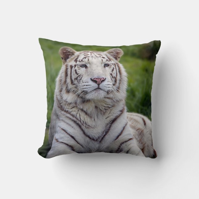 Beautiful White Tiger Photo Throw Pillow (Front)