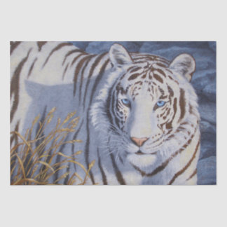 Beautiful White Tiger with Crystal Blue Eyes Tissue Paper