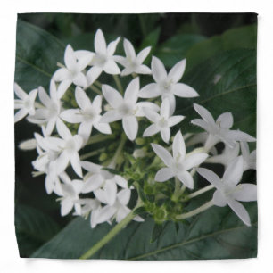 Beautiful White Tropical Flowers Bandana