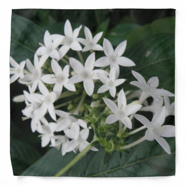 Beautiful White Tropical Flowers Bandana (Front)