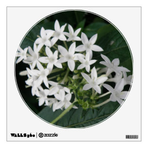 Beautiful White Tropical Flowers Wall Decal