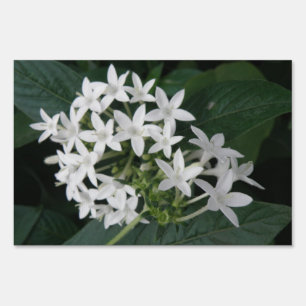 Beautiful White Tropical Flowers Yard Sign